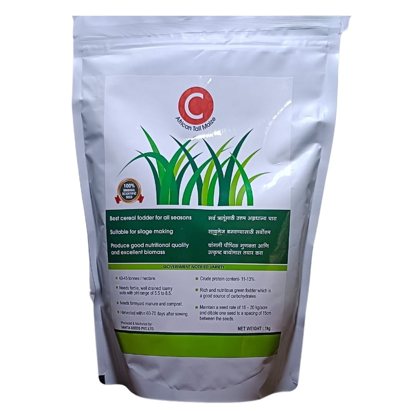 C African tall Maize - Fodder (1Kg)