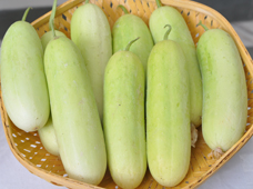 Cucumber Seeds - Ankur Seeds (25gm)