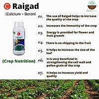 Raigad CB+ Crop Nutrition - Farmfields (500 ml)