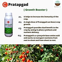 C Pratapgad Crop Nutrition - Farmfields (500 ml)