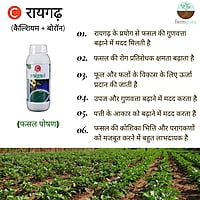 Raigad CB+ Crop Nutrition - Farmfields (500 ml)