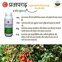 C Pratapgad Crop Nutrition - Farmfields (500 ml)