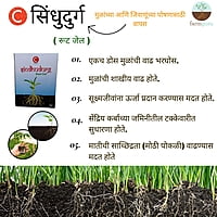 C Sindhudurg Crop Nutrition - Farmfields (1 Kg)