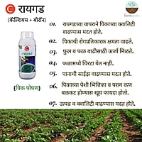 Raigad CB+ Crop Nutrition - Farmfields (500 ml)