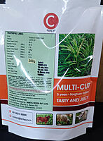 Sorghum Fodder Seed - COFS 29