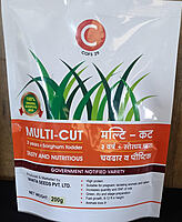 Sorghum Fodder Seed - COFS 29