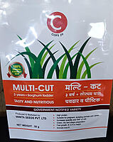 Sorghum Fodder Seed - COFS 29