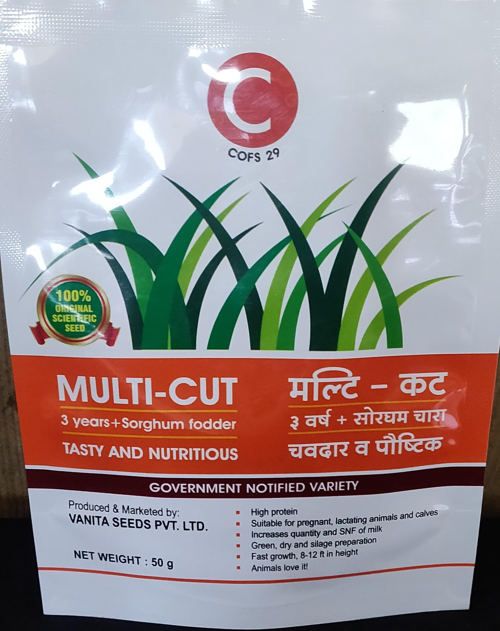 Sorghum Fodder Seed - COFS 29