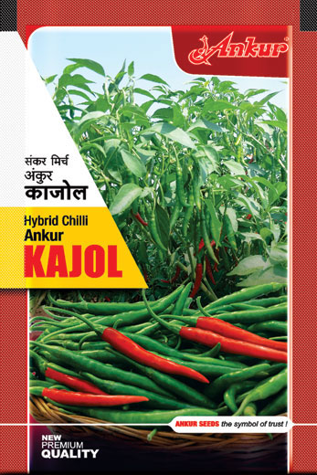 Chilli Kajal - Ankur Seeds (10 gm)