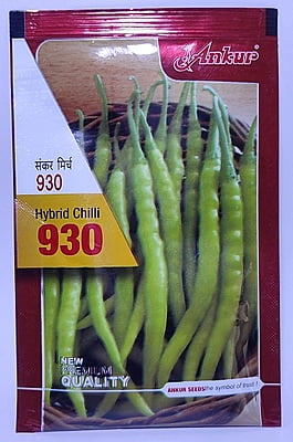 Chilli ARACH930 - Ankur Seeds (10 gm)