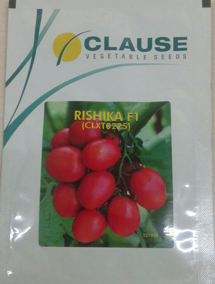 Tomato Rishika 225 - Clause Seeds (10 gm)
