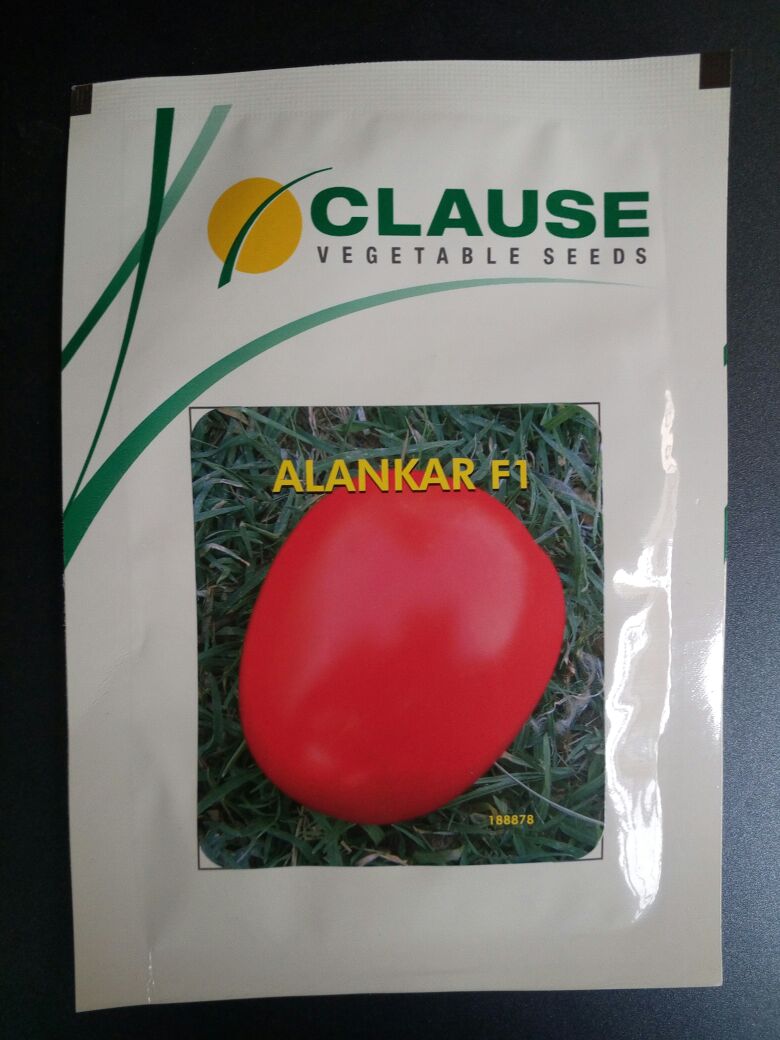 Tomato Alankar - Clause Seeds (10 gm)
