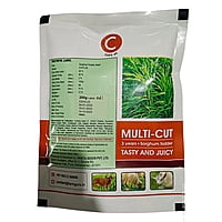 Sorghum Fodder Seed - COFS 29