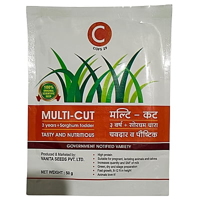 Sorghum Fodder Seed - COFS 29