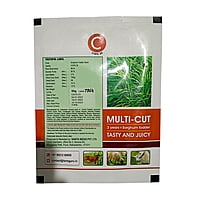 Sorghum Fodder Seed - COFS 29