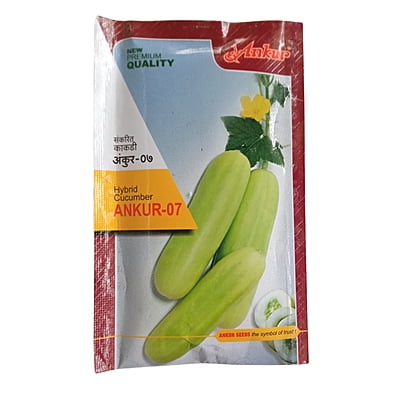 Cucumber Seeds - Ankur Seeds (25gm)