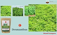 C Desmanthus Fodder (1 Kg)