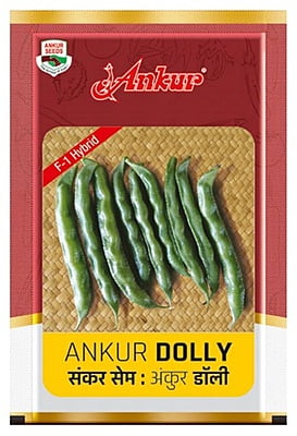 Hy Beans - Dolly (50 gm)