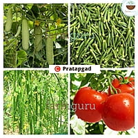 C Pratapgad Crop Nutrition - Farmfields (500 ml)