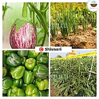 Shvineri PSM Crop Nutrition - Farmfields (500 ml)