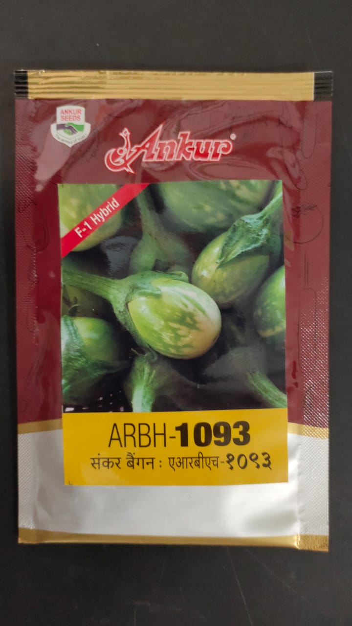 Brinjal 1093 - Ankur Seeds (10 gm)
