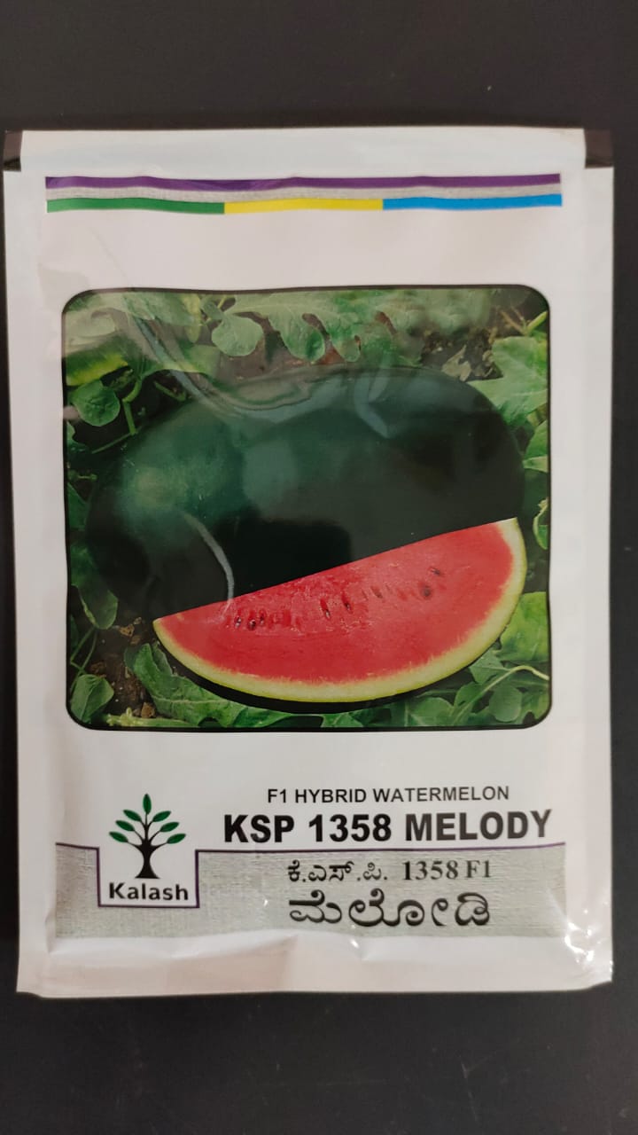 Watermelon Melody - Kalash Seeds (50gm)
