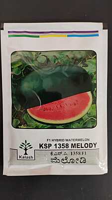 Watermelon Melody - Kalash Seeds (50gm)