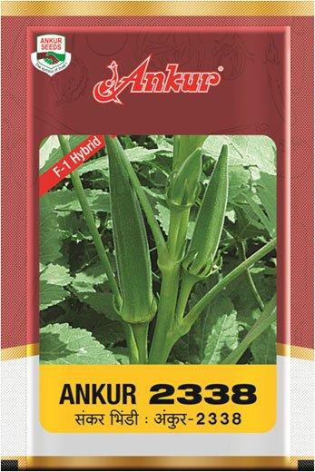 Okra 2338 - Ankur Seeds