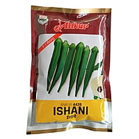 Okra Ishani - Ankur Seeds