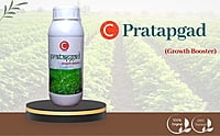 C Pratapgad Crop Nutrition - Farmfields (500 ml)