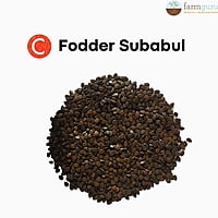 Subabul Fodder Seed - C Fodder Subabul(800 gm)