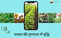 Raigad CB+ Crop Nutrition - Farmfields (500 ml)