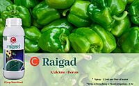 Raigad CB+ Crop Nutrition - Farmfields (500 ml)