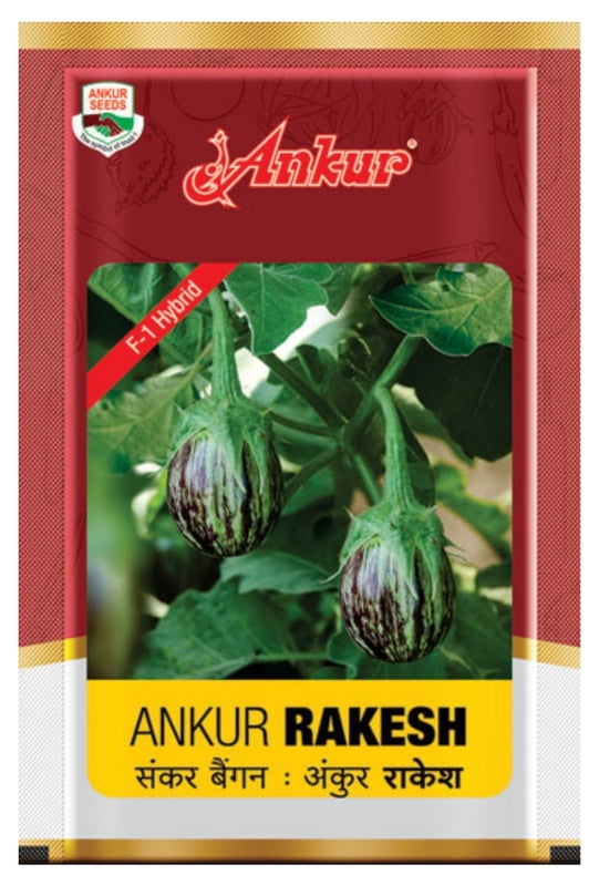 Brinjal Rakesh- Ankur Seeds (30 gm)