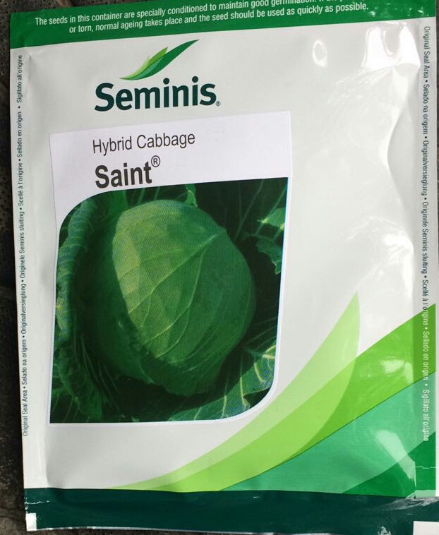Cabbage Saint - Seminis (10 gm)