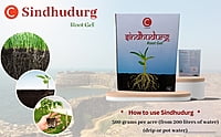 C Sindhudurg Crop Nutrition - Farmfields (1 Kg)