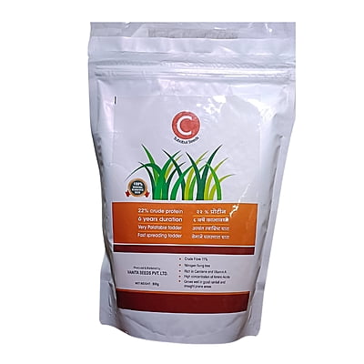 Subabul Fodder Seed - C Fodder Subabul(800 gm)