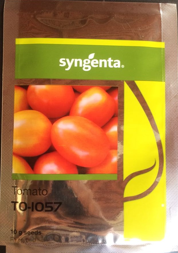 Tomato 1057 - Syngenta (3000 Seeds)