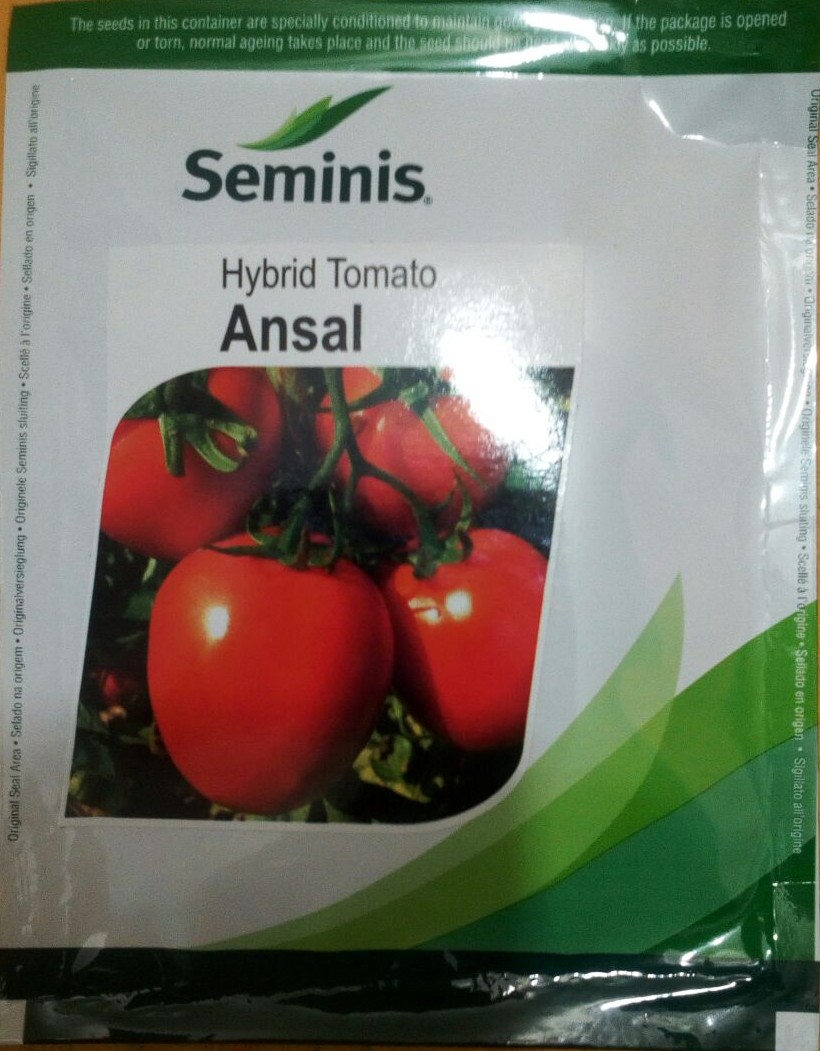 Tomato Ansal - Seminis (3500 Seeds)