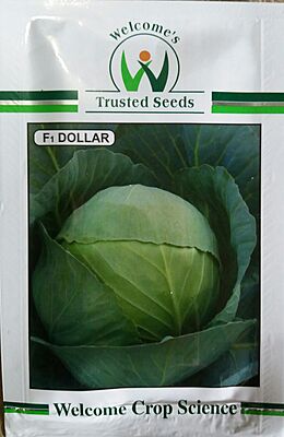 Cabbage Euro 2 - Welcome Seeds (10 gm)