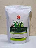 C Oats Kent - Fodder (800 gm)