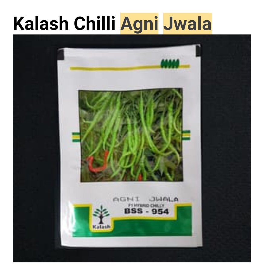 Chilli Agni Jwala - Kalash Seeds (10 gm)
