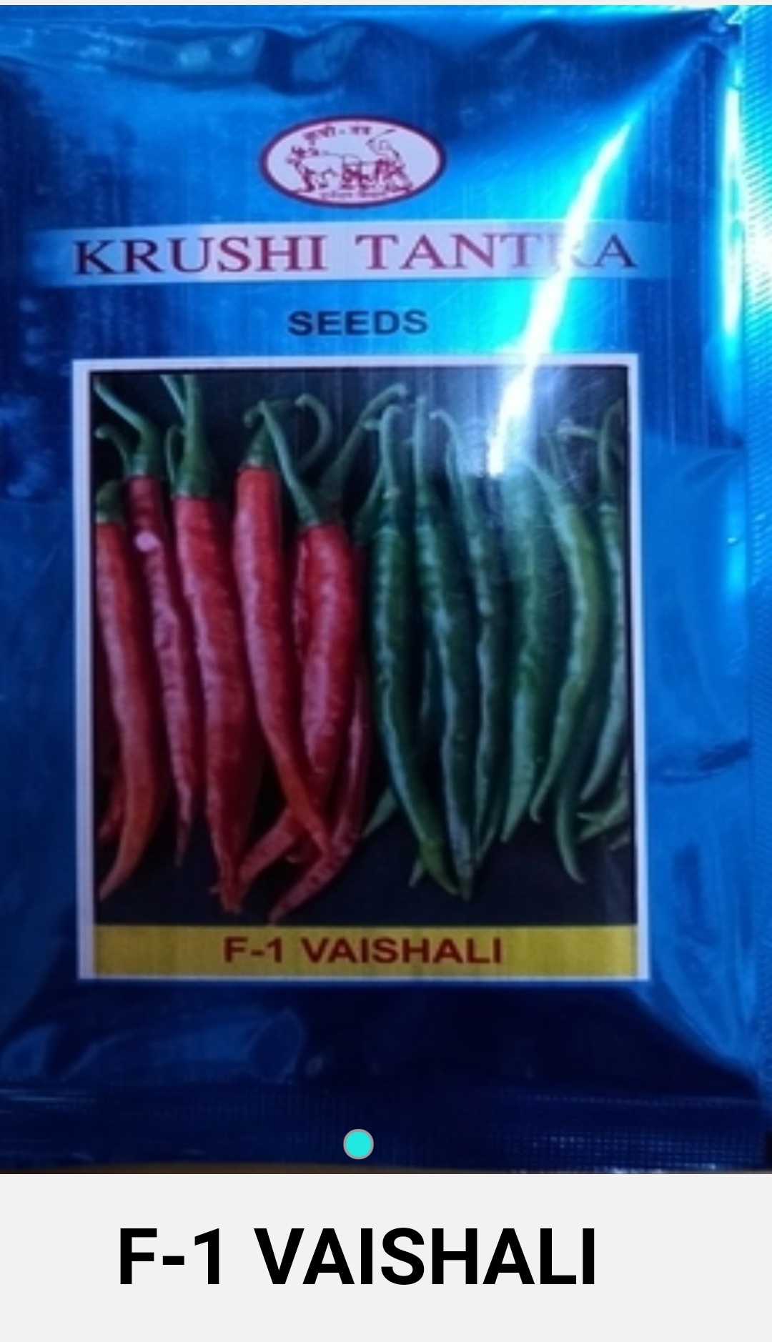 Chilli Vaishali - Krushi Tantra Seeds (10 gm)