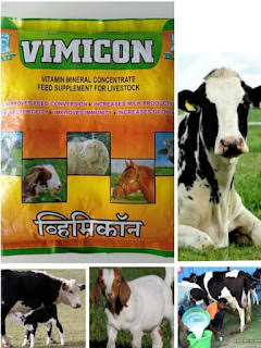 Vimicon Livestock Feed - BAIF (1 kg)